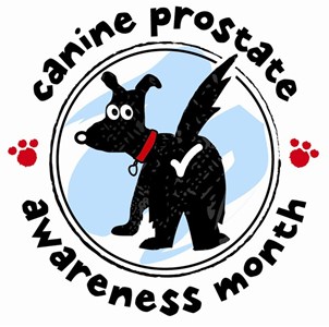 Canine Prostate Awareness Month
