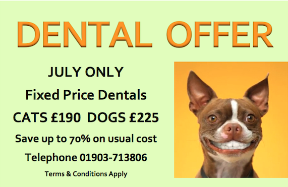 Dental offer