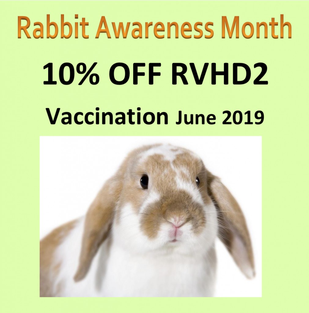 Rabbit Vaccination Offer