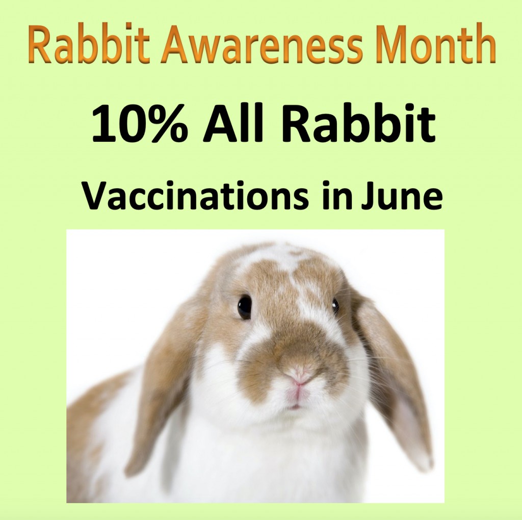 Rabbit Vaccs June